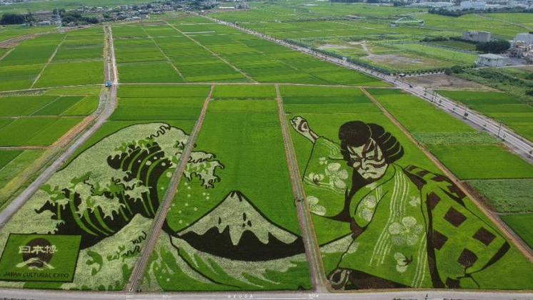 Arte en campos de arroz saluda los Juegos Olímpicos