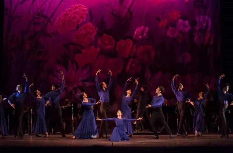 Ballet Español de Cuba: 36 años estremeciendo la escena 